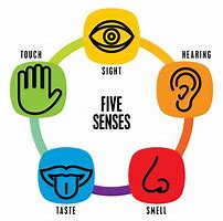 Sensory Fun and Relaxation